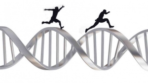 Como o exercício físico muda seu DNA